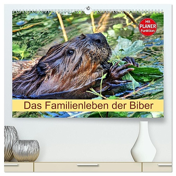 Das Familienleben der Biber (hochwertiger Premium Wandkalender 2024 DIN A2 quer), Kunstdruck in Hochglanz, Kattobello