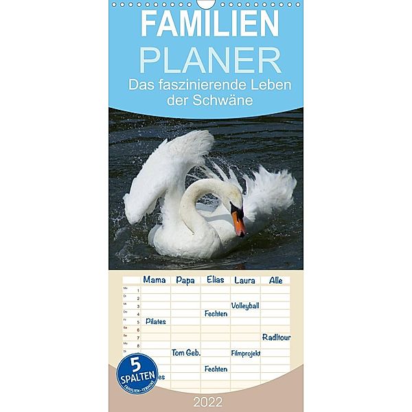 Das faszinierende Leben der Schwäne - Familienplaner hoch (Wandkalender 2022 , 21 cm x 45 cm, hoch), Kattobello