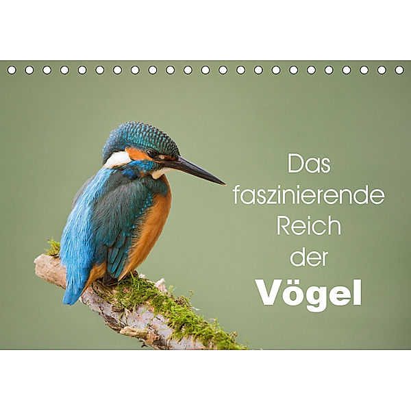 Das faszinierende Reich der Vögel (Tischkalender 2019 DIN A5 quer), Johann Schörkhuber