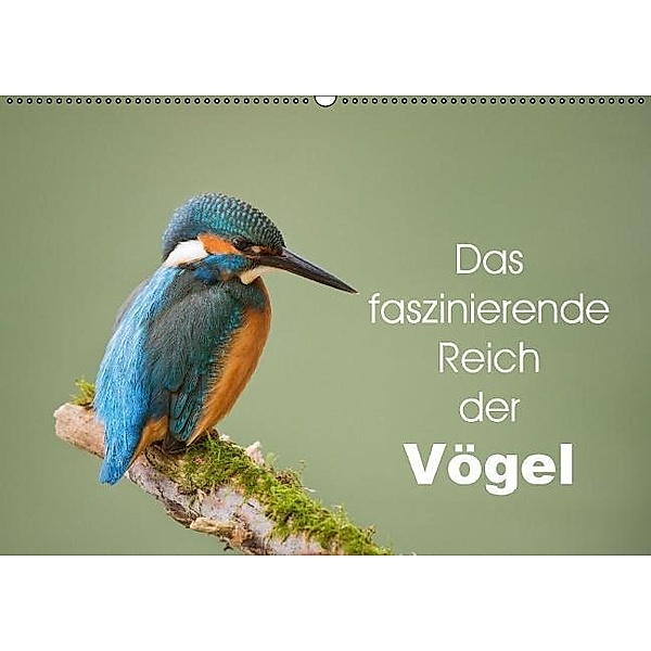 Das faszinierende Reich der Vögel (Wandkalender 2017 DIN A2 quer), Johann Schörkhuber
