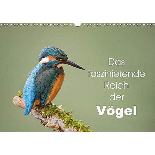 Das faszinierende Reich der Vögel (Wandkalender 2020 DIN A3 quer), Johann Schörkhuber