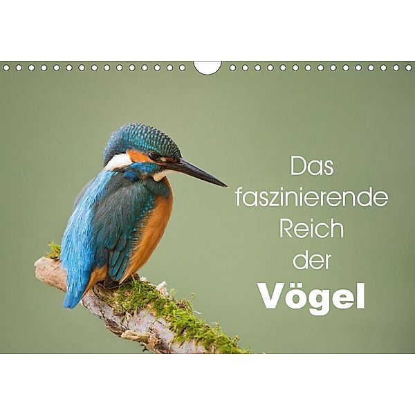 Das faszinierende Reich der Vögel (Wandkalender 2020 DIN A4 quer), Johann Schörkhuber