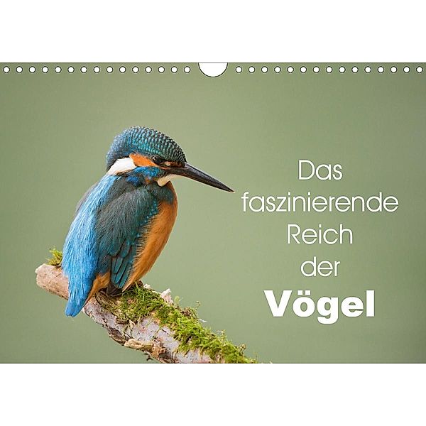Das faszinierende Reich der Vögel (Wandkalender 2021 DIN A4 quer), Johann Schörkhuber