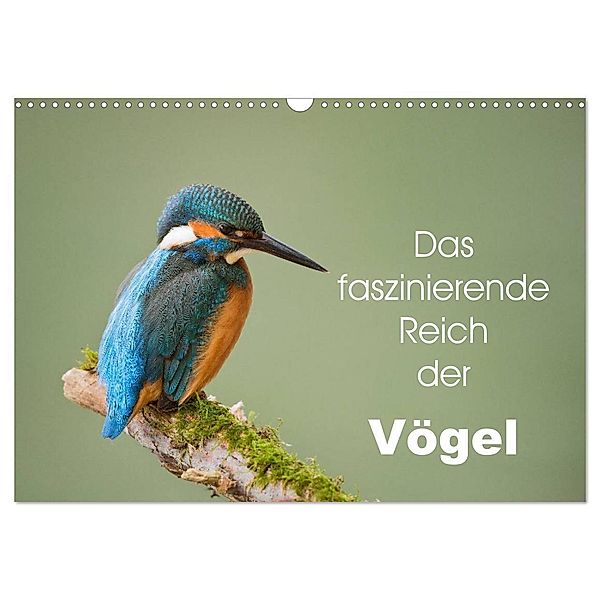 Das faszinierende Reich der Vögel (Wandkalender 2025 DIN A3 quer), CALVENDO Monatskalender, Calvendo, Johann Schörkhuber