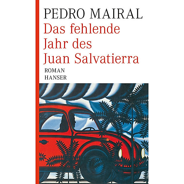 Das fehlende Jahr des Juan Salvatierra, Pedro Mairal