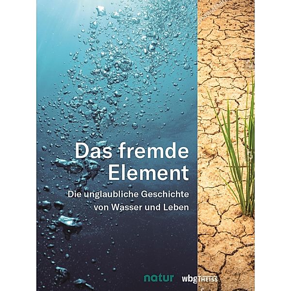 Das fremde Element