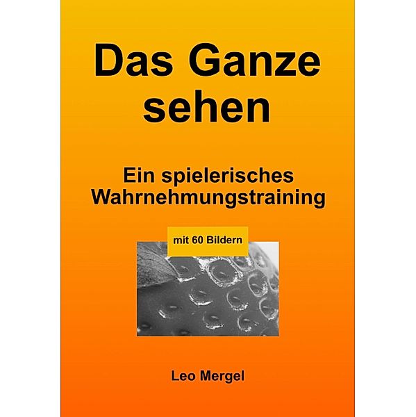 Das Ganze sehen, O. L. Mergel