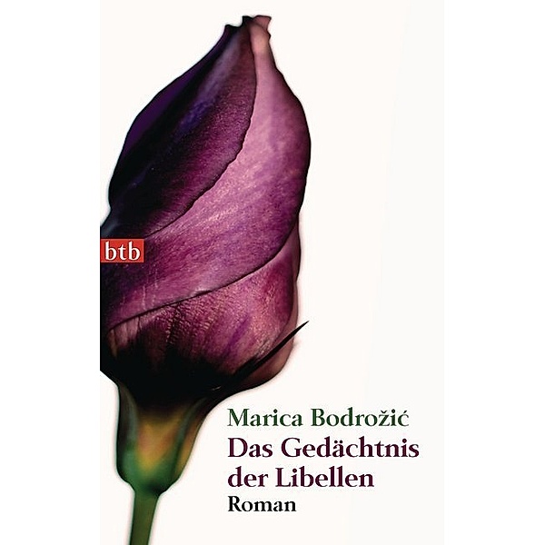 Das Gedächtnis der Libellen, Marica Bodrozic