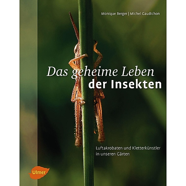 Das geheime Leben der Insekten, Monique Berger, Michel Gaudichon