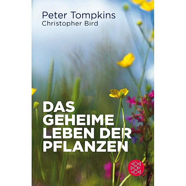 Das geheime Leben der Pflanzen Buch versandkostenfrei bei Weltbild.de