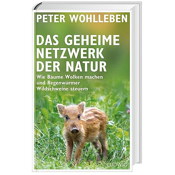 Das geheime Netzwerk der Natur, Peter Wohlleben