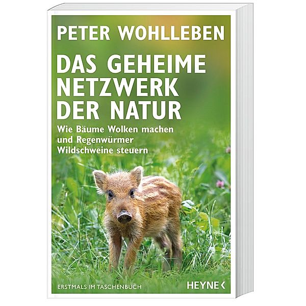 Das geheime Netzwerk der Natur, Peter Wohlleben