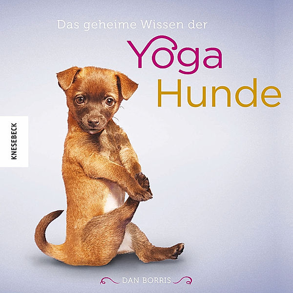 Das geheime Wissen der Yoga-Hunde, Dan Borris