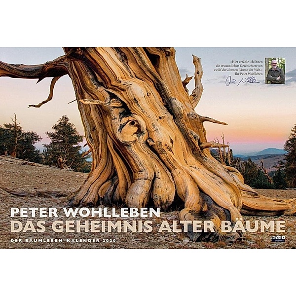 Das Geheimnis alter Bäume, Peter Wohlleben
