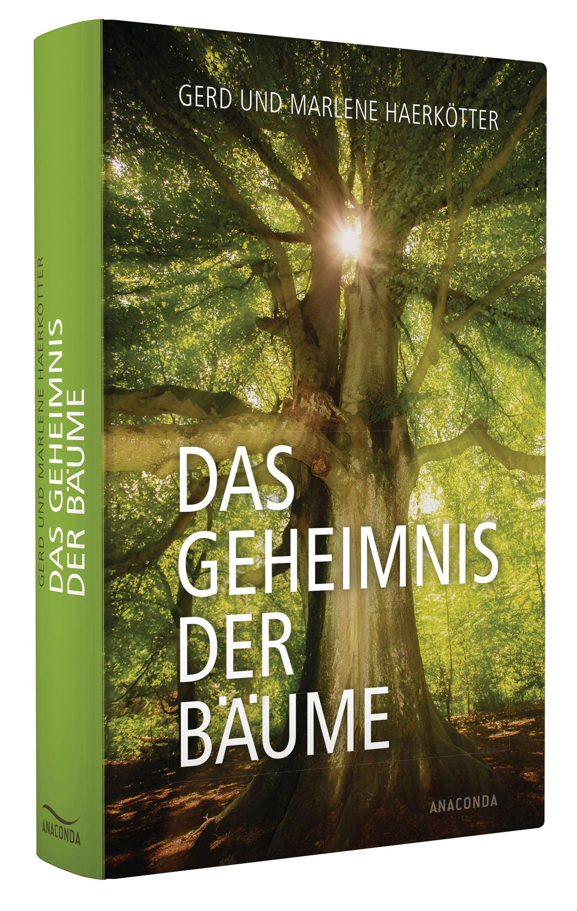 Das Geheimnis der Bäume Buch bei Weltbild.de online bestellen