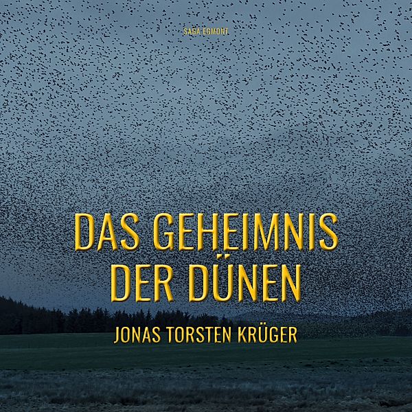Das Geheimnis der Dünen - Gefährliche Ferien auf Norderney, Jonas Torsten Krüger