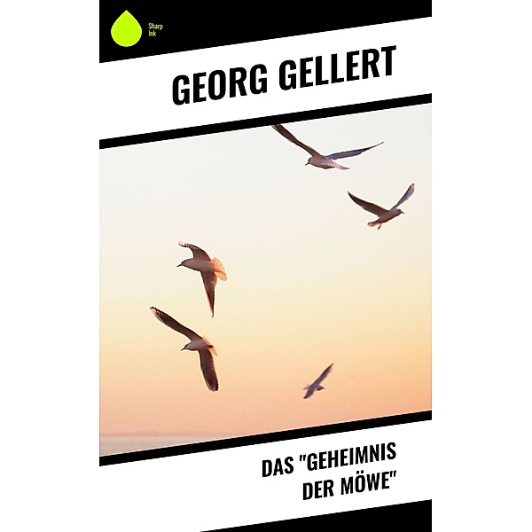 Das Geheimnis der Möwe, Georg Gellert
