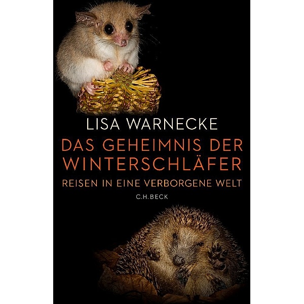 Das Geheimnis der Winterschläfer, Lisa Warnecke