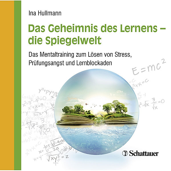 Das Geheimnis des Lernens - die Spiegelwelt,Audio-CD, Ina Hullmann