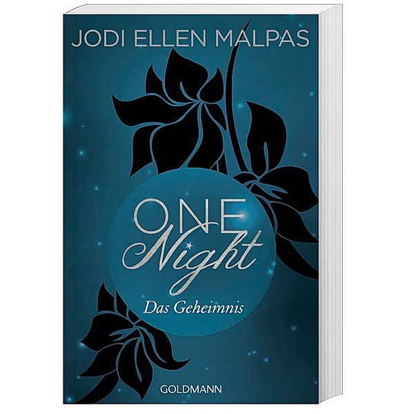 Das Geheimnis / One Night Bd.2, Jodi Ellen Malpas