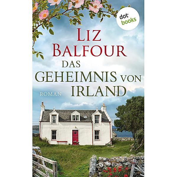 Das Geheimnis von Irland - oder: Ich schreib dir sieben Jahre, Liz Balfour