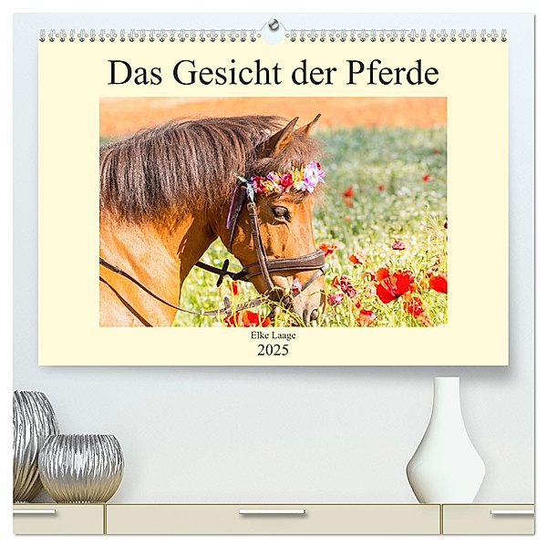 Das Gesicht der Pferde (hochwertiger Premium Wandkalender 2025 DIN A2 quer), Kunstdruck in Hochglanz, Calvendo, Elke Laage