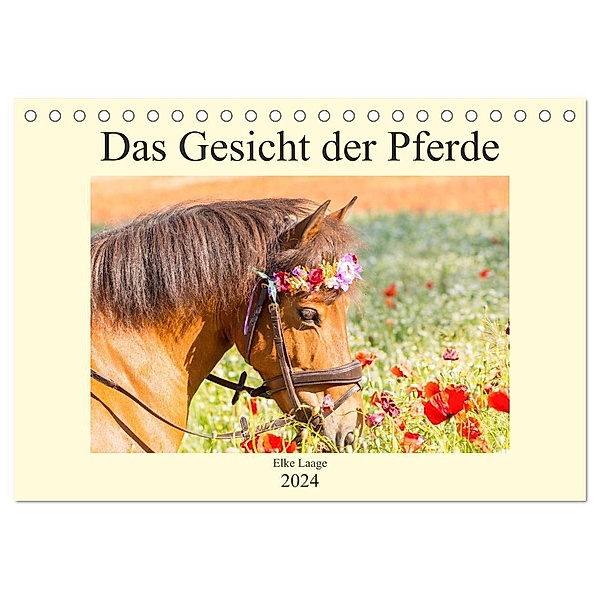 Das Gesicht der Pferde (Tischkalender 2024 DIN A5 quer), CALVENDO Monatskalender, Elke Laage