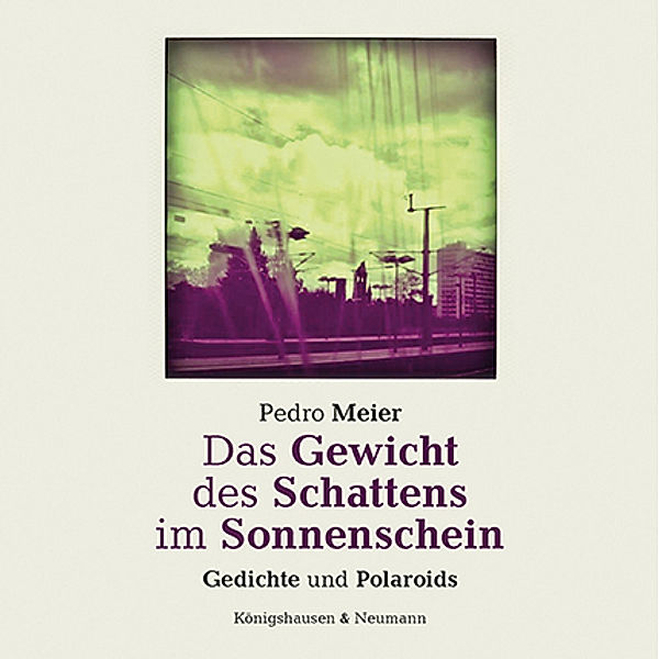 Das Gewicht des Schattens im Sonnenschein, Pedro Meier