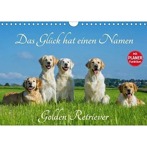 Das Glück hat einen Namen - Golden Retriever (Wandkalender 2020 DIN A4 quer), Sigrid Starick