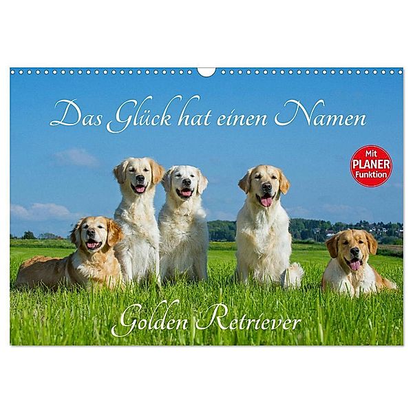 Das Glück hat einen Namen - Golden Retriever (Wandkalender 2025 DIN A3 quer), CALVENDO Monatskalender, Calvendo, Sigrid Starick