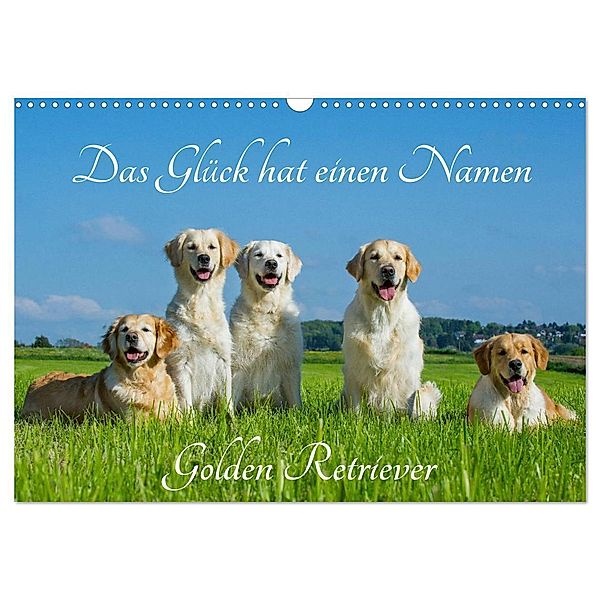 Das Glück hat einen Namen - Golden Retriever (Wandkalender 2025 DIN A3 quer), CALVENDO Monatskalender, Calvendo, Sigrid Starick