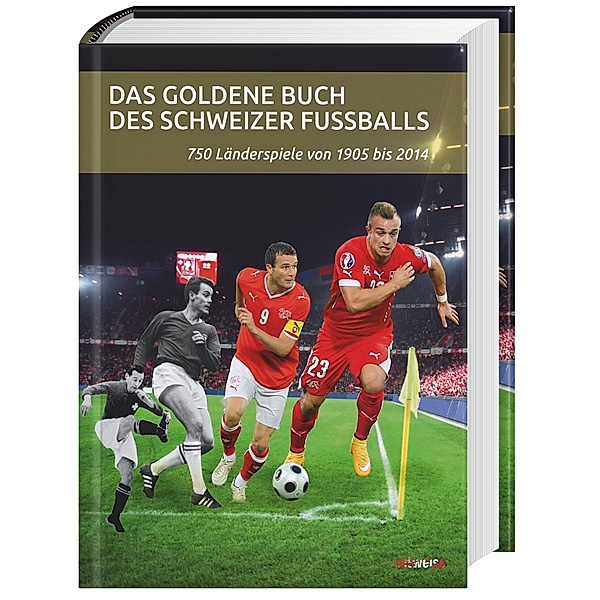 Das goldene Buch des Schweizer Fussballs, Daniel Schaub, Michael Martin
