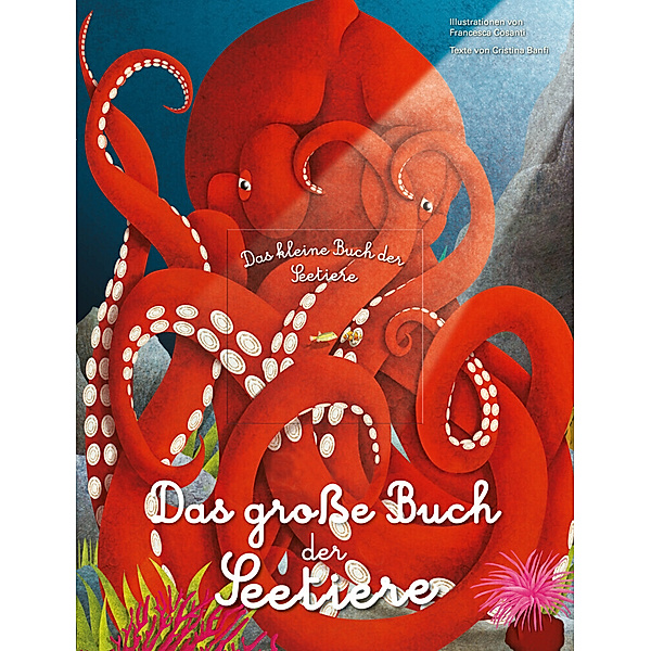 Das grobetae Buch der Seetiere. Das kleine Buch der Seetiere, Cristina Banfi