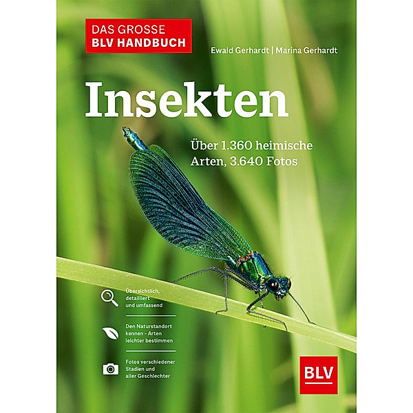 Das große BLV Handbuch Insekten, Ewald Gerhardt, Marina Gerhardt