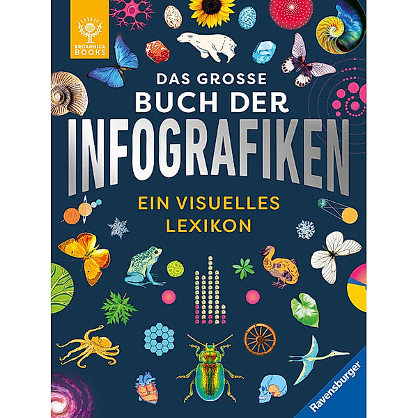 Das große Buch der Infografiken. Ein visuelles Lexikon für Kinder - Schauen, staunen, Neues lernen, Andrew Pettie, Conrad Quilty-Harper