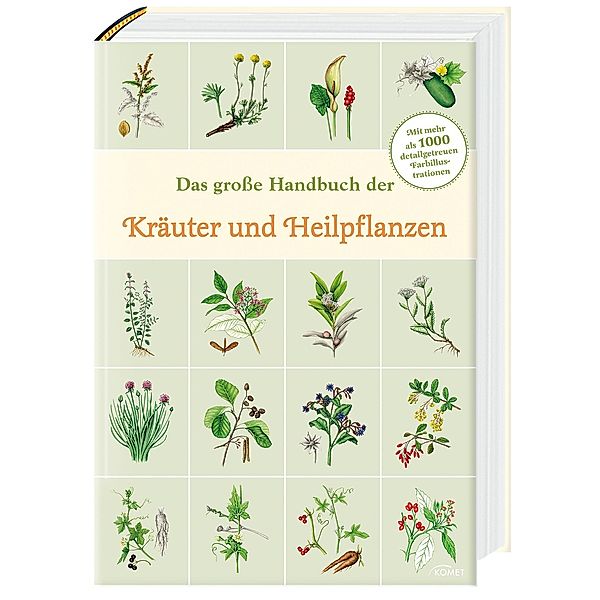 Das grosse Handbuch der Kräuter und Heilpflanzen, Hans W. Kothe