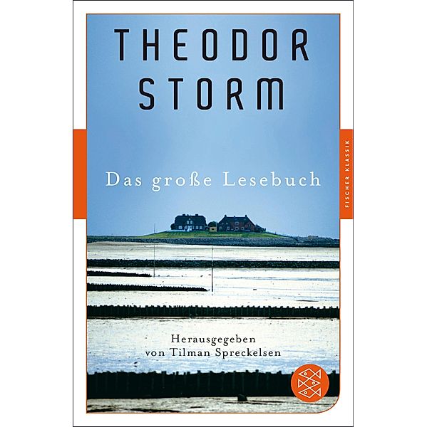 Das große Lesebuch, Theodor Storm