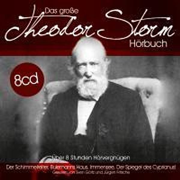 Das große Theodor Storm Hörbuch, 8 Audio-CDs, Theodor Storm