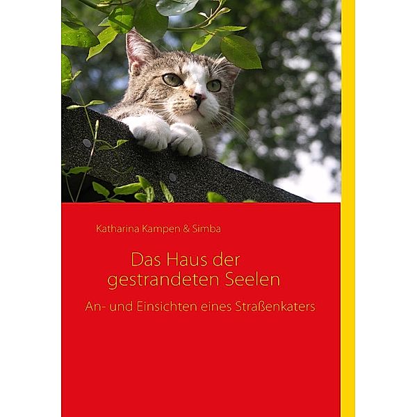 Das Haus der gestrandeten Seelen, Katharina Kampen