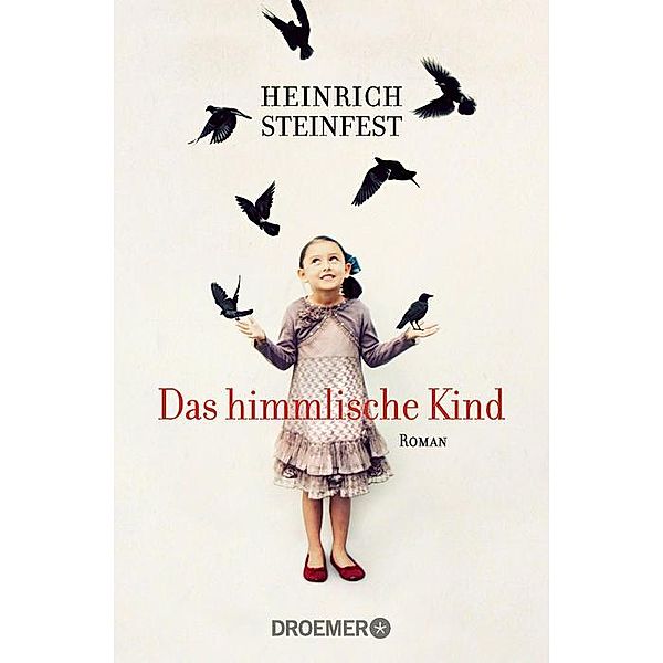 Das himmlische Kind, Heinrich Steinfest