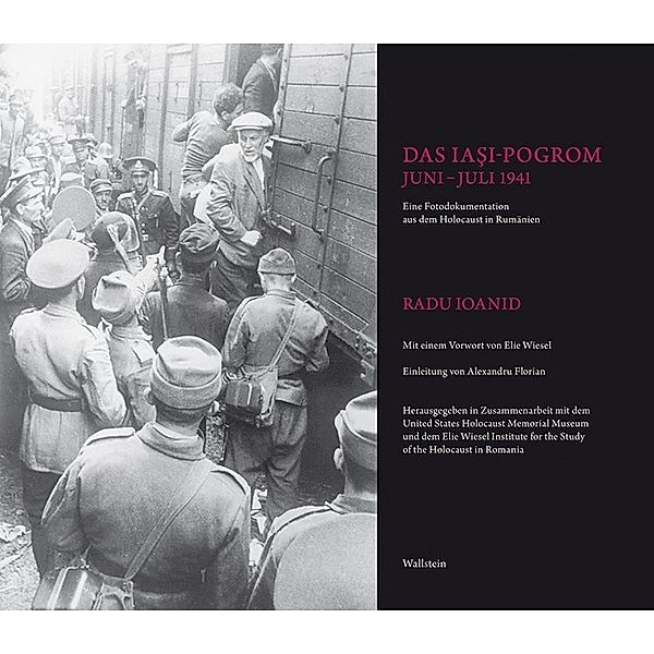 Das Iasi-Pogrom, Juni-Juli 1941, Radu Ioanid