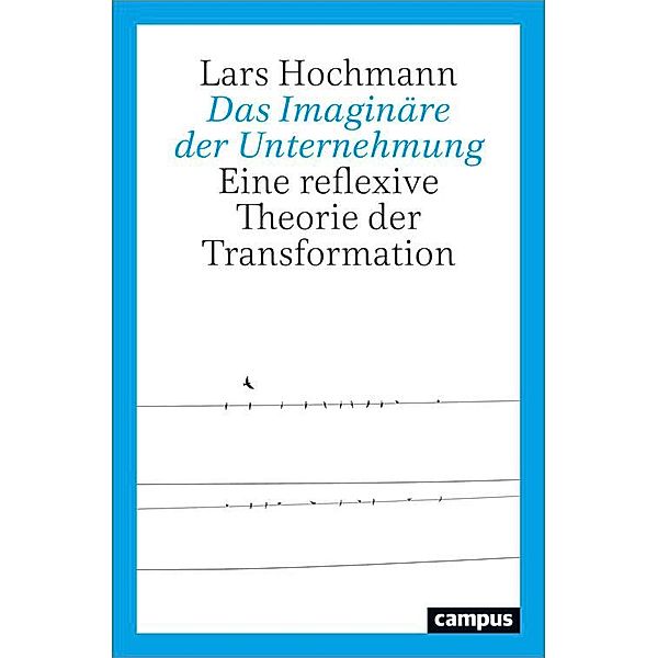 Das Imaginäre der Unternehmung, Lars Hochmann