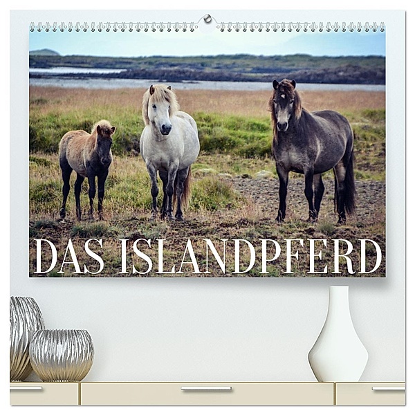 Das Islandpferd (hochwertiger Premium Wandkalender 2025 DIN A2 quer), Kunstdruck in Hochglanz, Calvendo, Hannah Krämer