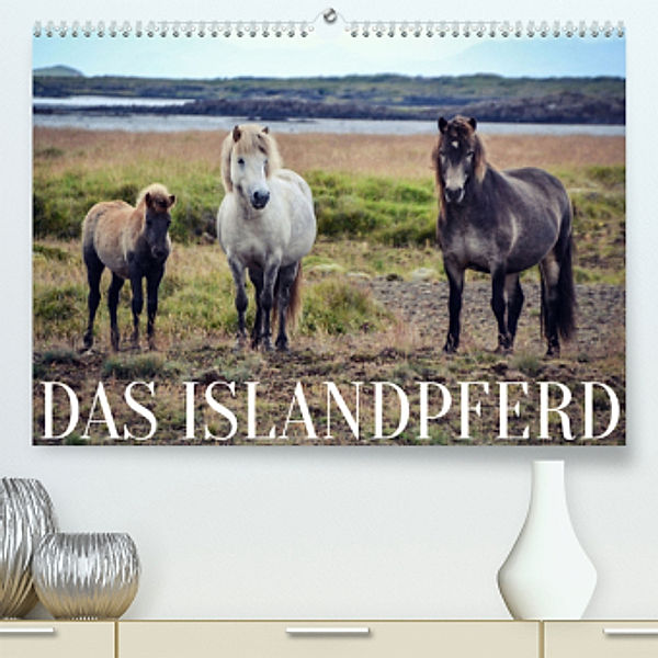 Das Islandpferd (Premium, hochwertiger DIN A2 Wandkalender 2022, Kunstdruck in Hochglanz), Hannah Krämer