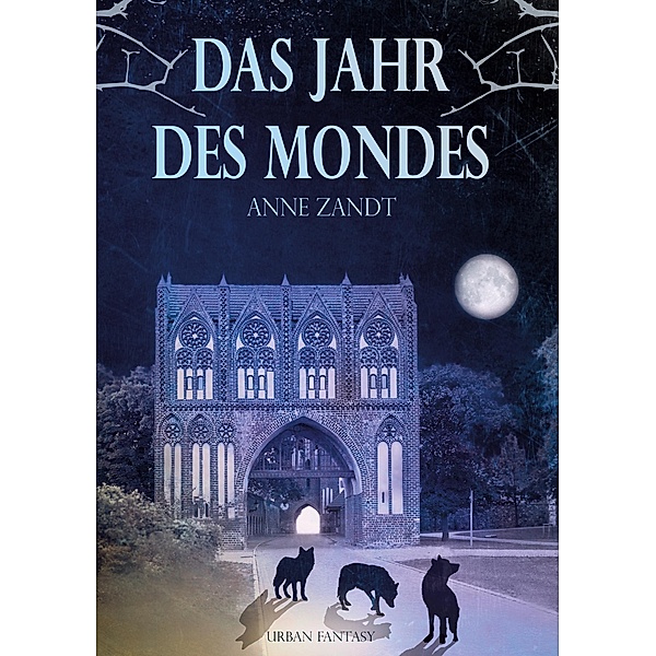 Das Jahr des Mondes, Anne Zandt