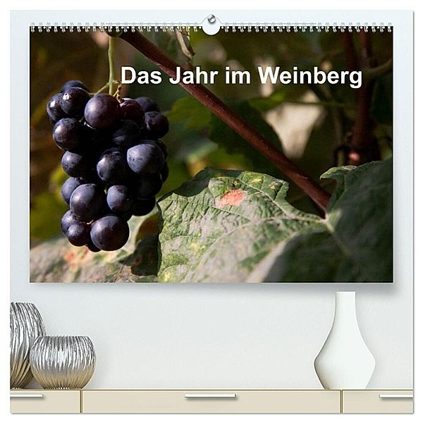 Das Jahr im Weinberg (hochwertiger Premium Wandkalender 2025 DIN A2 quer), Kunstdruck in Hochglanz, Calvendo, Frank Baumert