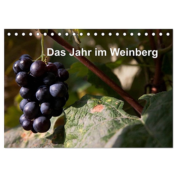 Das Jahr im Weinberg (Tischkalender 2024 DIN A5 quer), CALVENDO Monatskalender, Frank Baumert