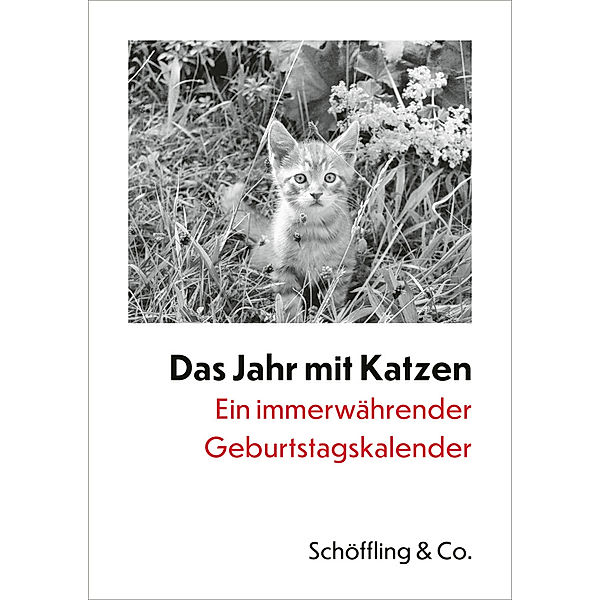 Das Jahr mit Katzen, Julia Bachstein