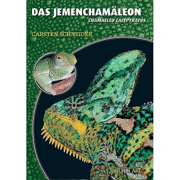 Das Jemenchamäleon, Carsten Schneider