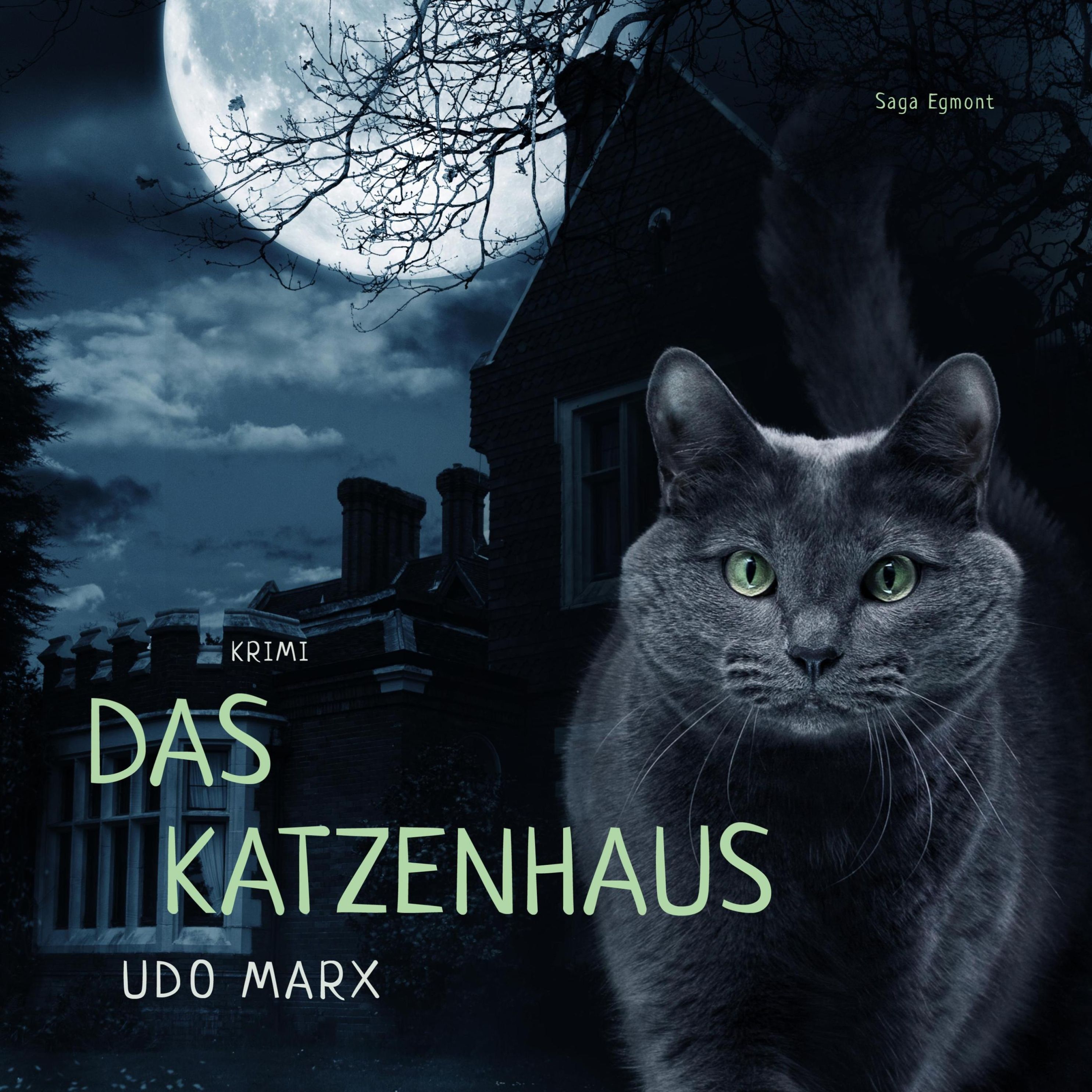 Das Katzenhaus Ungekürzt Hörbuch downloaden bei Weltbild.de